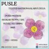 Ratsionaalarvude liitmine ja lahutamine - pusle (7.klass)