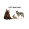 Metsloomad - õppekaardid - Image 4