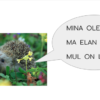 Raamat "Mina loen ise"