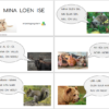 Raamat "Mina loen ise" - Image 2