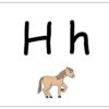 English words I already know + Greetings + b, e, f, g, h, i, k, l, m, n, o, p, s, v, z sounds (Hello English - Unit 1) - Image 3