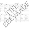 A1+ Family Crossword EST ENG - Image 2