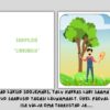 SARIPILDID "Linnumaja". - Image 2