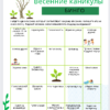 Kevadvaheaja bingo - EST, ENG, RUS - Image 2