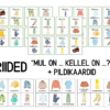 "RIIDED - "Mul on ... kellel on ...?" + PILDIKAARDID (24)