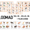 "LOOMAD - "Mul on ... kellel on ...?" + PILDIKAARDID (24)