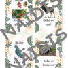 Mäng "Mul on, kellel on" (metsloomad, linnud, puud)