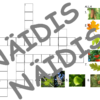 Ristsõnad - erinevad teemad - Image 4