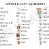 "MÖÖBEL (mäng "Leia ühine sümbol" + lisad)" - Image 3