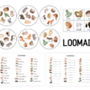 "LOOMAD (mäng "Leia ühine sümbol" + lisad)"
