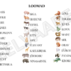 "LOOMAD (mäng "Leia ühine sümbol" + lisad)" - Image 3