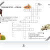 6. klass - Esiaeg - komplekt (5lk) - Image 6