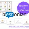 Lihtmineviku vestluskaardid. Mida sa nädalavahetusel tegid?