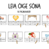 Leia õige sõna