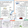 REISIMINE. B2-taseme rääkimisosa abimaterjal
