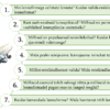 REISIMINE. B2-taseme rääkimisosa abimaterjal - Image 4