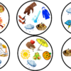 DOBBLE - SÜGIS - Image 3