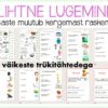 Lihtne lugemine _ väikesed trükitähed