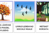 VII KOKKU TEKST JA PILT - SÜGIS - Image 7