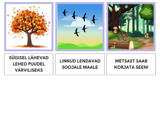 VII KOKKU TEKST JA PILT - SÜGIS - Image 7