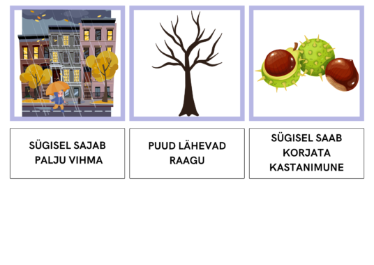 VII KOKKU TEKST JA PILT - SÜGIS - Image 6