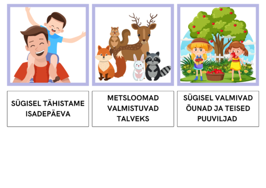 VII KOKKU TEKST JA PILT - SÜGIS - Image 4