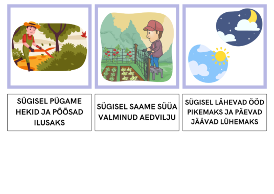 VII KOKKU TEKST JA PILT - SÜGIS - Image 3