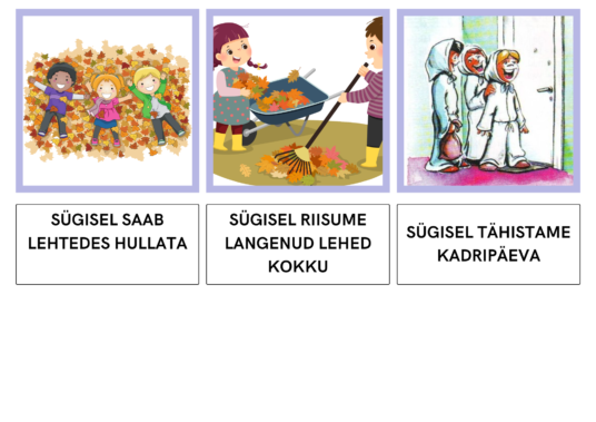 VII KOKKU TEKST JA PILT - SÜGIS - Image 2