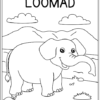 Aafrikas elavad loomad-värviraamat