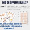 Omadussõnadega ja hobitegevustega õppematerjal isadepäevaks - Image 2