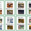 "TEGEVUSED LOODUSES ("Mul on ... kellel on ... " + pildikaardid) - Image 2
