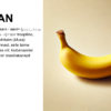 Võõrsõnade õpikaardid ,,Banaanist Galaktikani" - Image 2