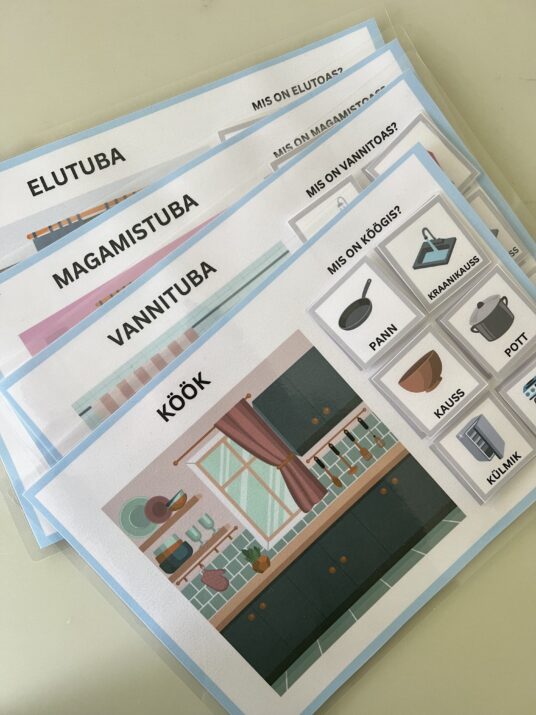 Sorteerimismäng - "Esemed tubades" - Image 3