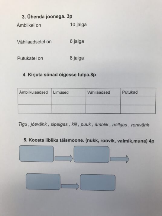 Selgrootud-kontrolltöö - Image 2