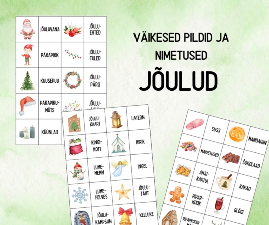 "JÕULUD - väikesed pildikaardid ja sõnakaardid (30 tk)"