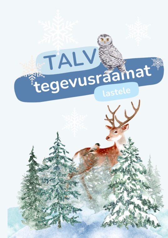 Talve tegevusraamat