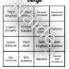 Isetehtud jõulud - Image 4
