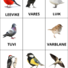 Lõika välja ja sorteeri teemade järgi - Image 5