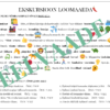 "EMOTIKONID - töölehtede komplekt" - Image 6