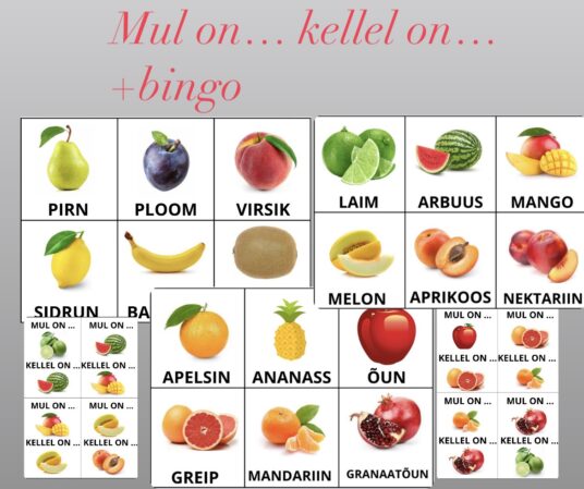 Mul on… kellel on…+bingo ( puuviljad)