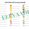 "EMOTIKONID ("Leia ühine sümbol", pildikaardid, tööleht, piltsõnastik) - Image 4