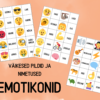 "EMOTIKONID - väikesed pildi- ja sõnakaardid (30 tk)