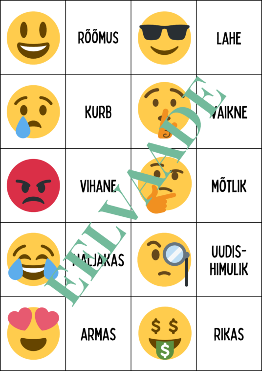 "EMOTIKONID - väikesed pildi- ja sõnakaardid (30 tk) - Image 2