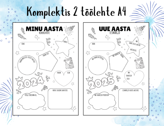 Minu aasta kokkuvõte - uue aasta eesmärgid