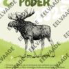 Õpetlikud 2025 aasta loom, lind, kala postrid