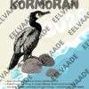 Õpetlikud 2025 aasta loom, lind, kala postrid - Image 3