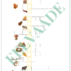 "12 RISTSÕNA" - Image 6