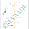 "12 RISTSÕNA" - Image 12