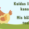 Õppemäng "Taluloomad" - Image 2