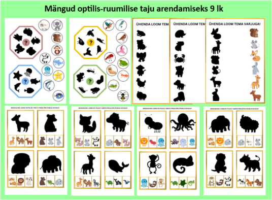 Mängud optilis-ruumilise taju ja tähelepanu arendamiseks, varjupildid (9lk)